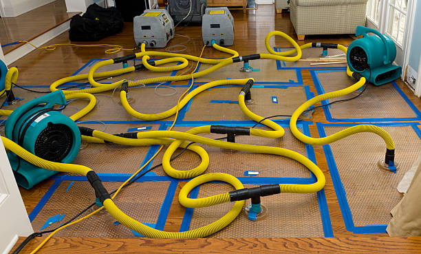 Professional Structural Drying And Dehumidification technician working in Aberdeen, NC